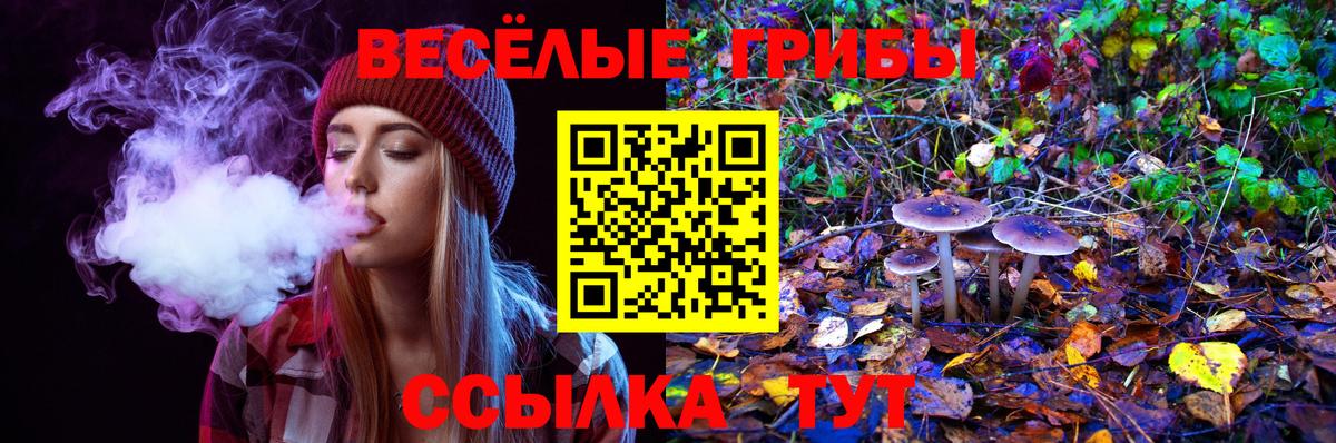 Псилоцибиновые грибы Magic Shrooms  Вход с VPN  Керчь  Псилоцибиновые грибы ЛСД 
