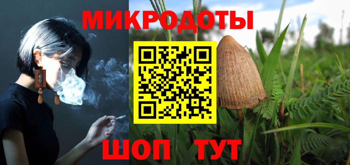 Галлюциногенные грибы Psilocybine cubensis Керчь